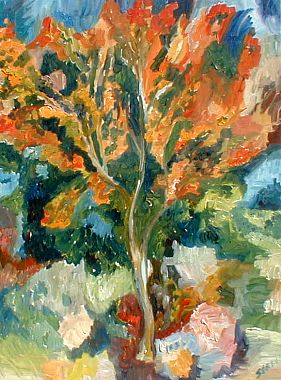 Fall Colors von Starr, Erin