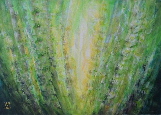 Wiesenlicht von Schulz, Wolfram